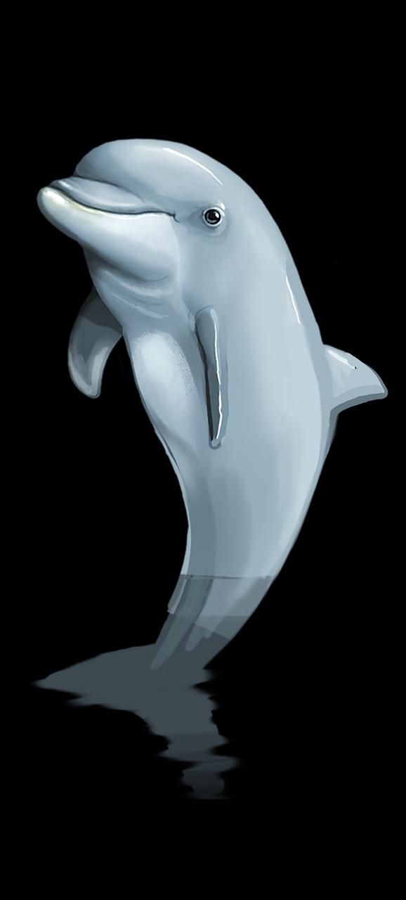 free credit with TO condition - dd